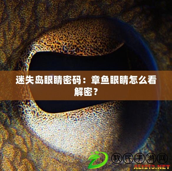 迷失島眼睛密碼：章魚眼睛怎么看解密？