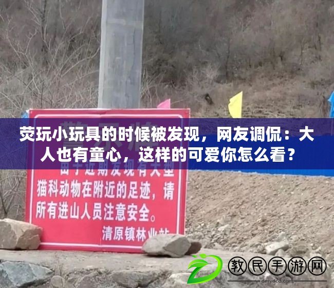 熒玩小玩具的時候被發現，網友調侃：大人也有童心，這樣的可愛你怎么看？
