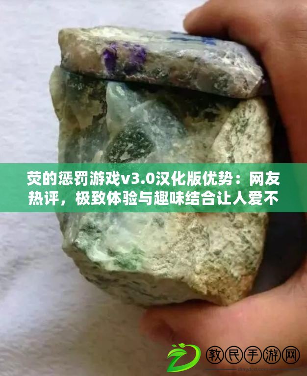 熒的懲罰游戲v3.0漢化版優勢：網友熱評，極致體驗與趣味結合讓人愛不釋手！