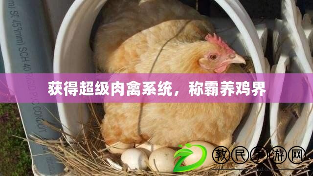 獲得超級肉禽系統，稱霸養雞界