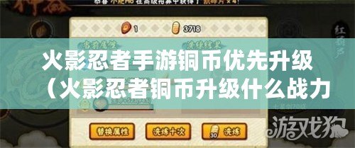 火影忍者手游銅幣優先升級（火影忍者銅幣升級什么戰力高）