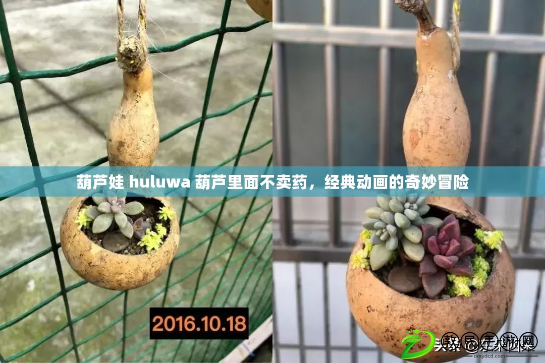 葫蘆娃 huluwa 葫蘆里面不賣藥，經典動畫的奇妙冒險