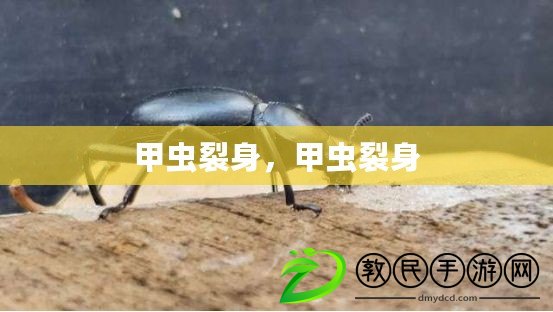 甲蟲裂身，甲蟲裂身
