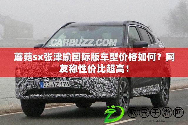 蘑菇sx張津瑜國際版車型價格如何？網友稱性價比超高！