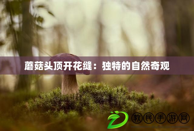 蘑菇頭頂開花縫:獨特的自然奇觀 蘑菇頭頂開花縫:獨特的自然奇觀