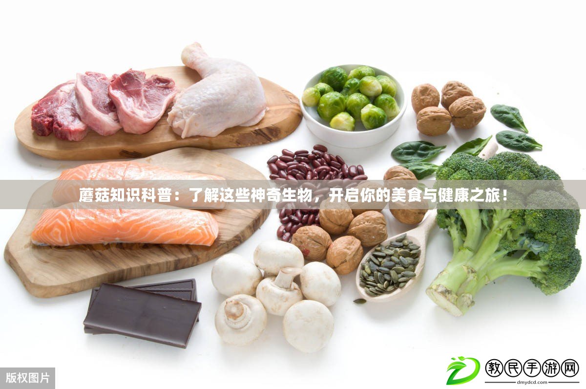 蘑菇知識科普：了解這些神奇生物，開啟你的美食與健康之旅！