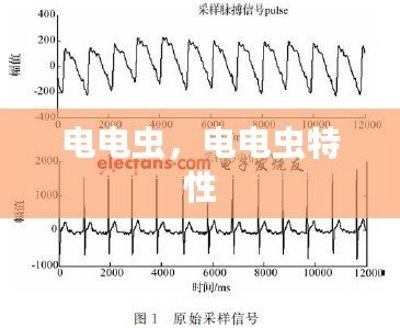 電電蟲，電電蟲特性