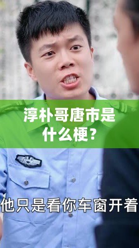 淳樸哥唐市是什么梗？