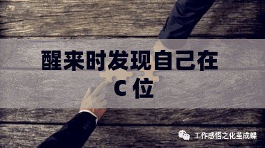 醒來時發現自己在 C 位