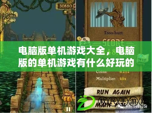電腦版單機游戲大全，電腦版的單機游戲有什么好玩的
