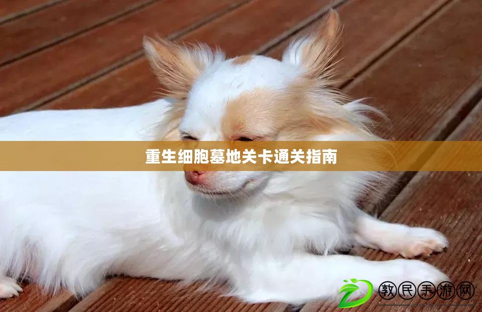 重生細胞墓地關卡通關指南