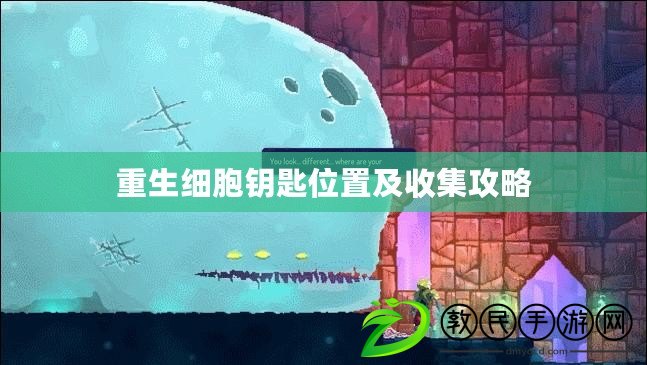 重生細胞鑰匙位置及收集攻略