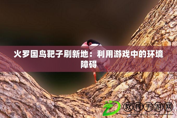 火羅國鳥靶子刷新地：利用游戲中的環境障礙
