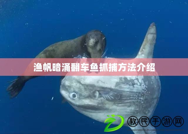 漁帆暗涌翻車魚抓捕方法介紹 漁帆暗涌翻車魚抓捕方法介紹