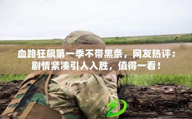 血路狂飆第一季不帶黑條，網友熱評：劇情緊湊引人入勝，值得一看！