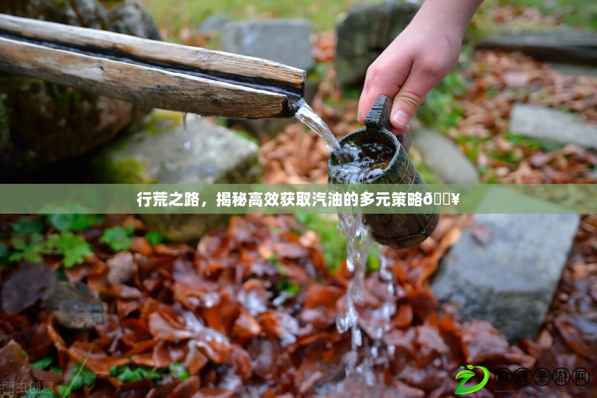 行荒之路，揭秘高效獲取汽油的多元策略??