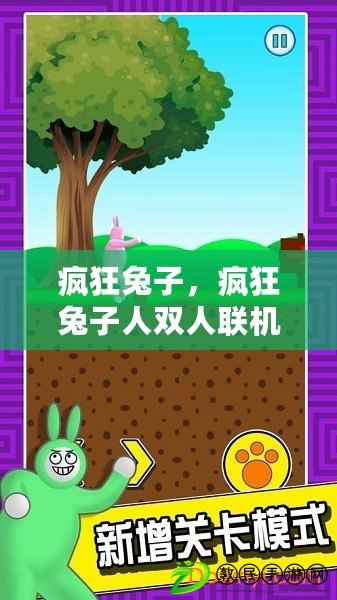 瘋狂兔子，瘋狂兔子人雙人聯機版