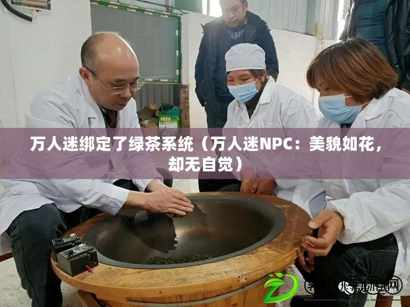 萬人迷綁定了綠茶系統（萬人迷NPC：美貌如花，卻無自覺）