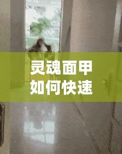靈魂面甲如何快速刷熟練度:戰術布局大揭秘 靈魂面甲如何快速刷熟練度:戰術布局大揭秘