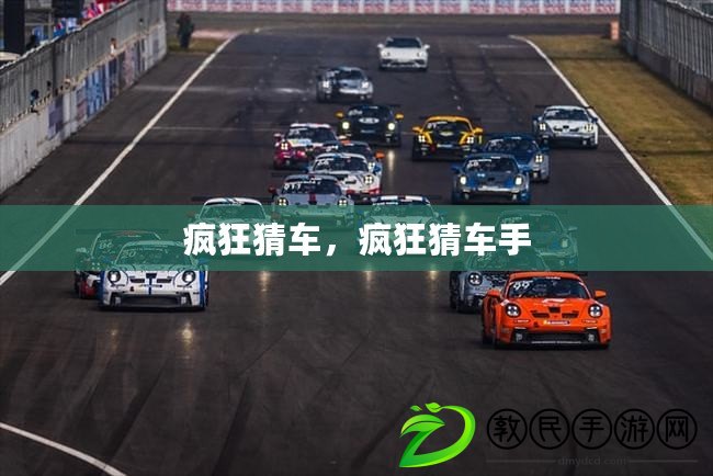 瘋狂猜車，瘋狂猜車手