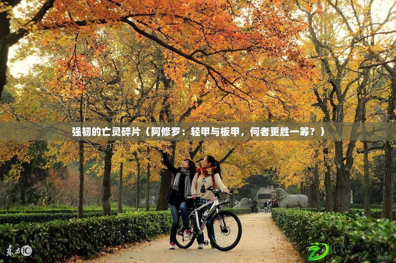 強韌的亡靈碎片（阿修羅：輕甲與板甲，何者更勝一籌？）