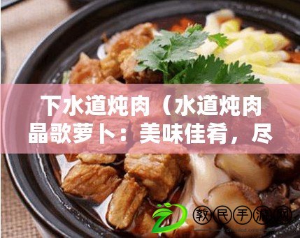 下水道燉肉（水道燉肉晶歌蘿卜：美味佳肴，盡在中心?。? title=