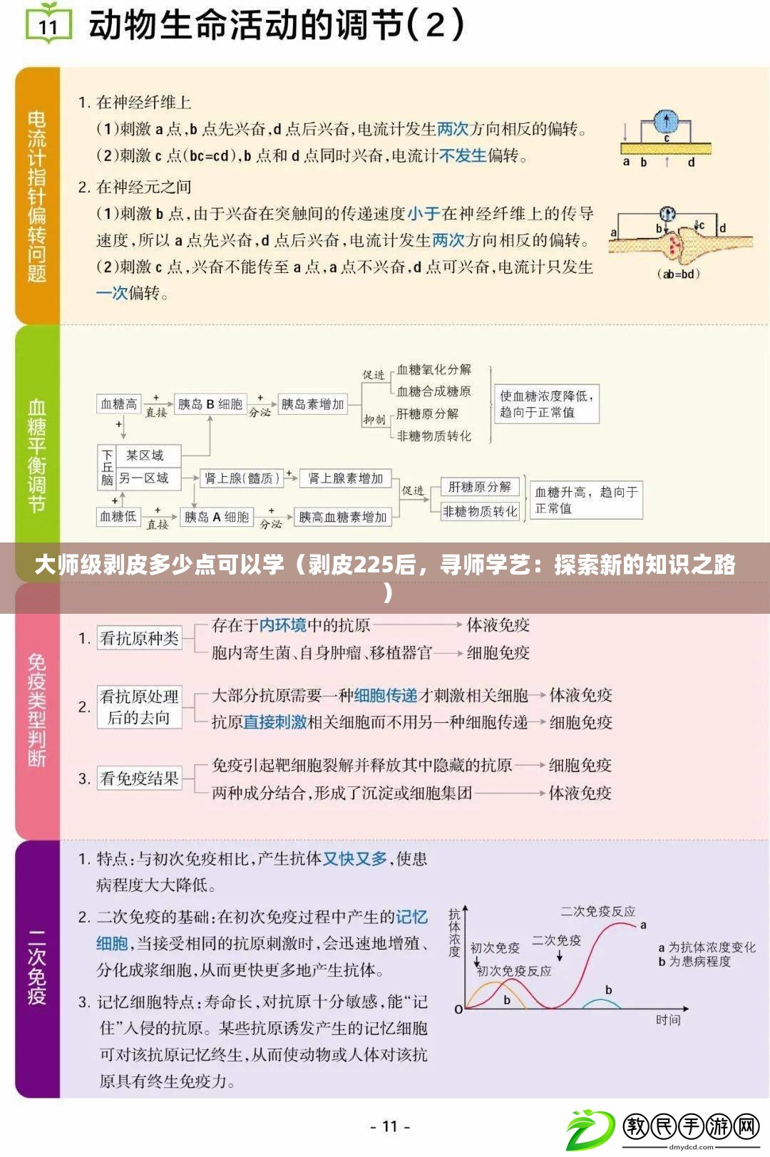 大師級剝皮多少點可以學（剝皮225后，尋師學藝：探索新的知識之路）