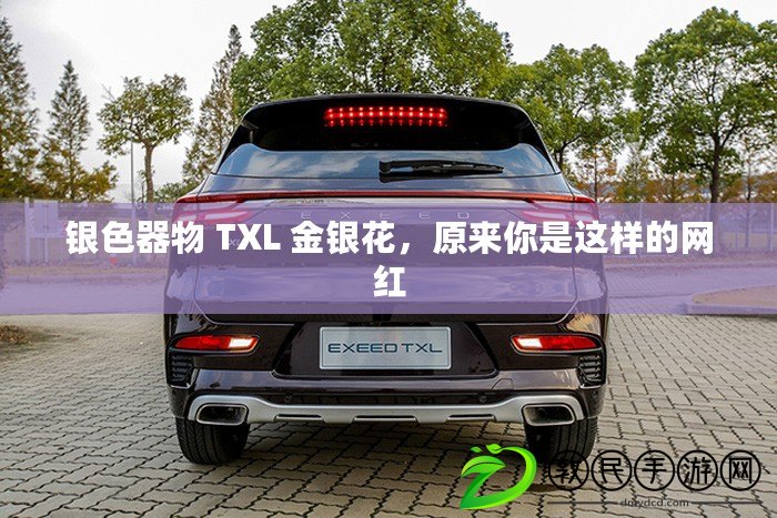 銀色器物 TXL 金銀花，原來你是這樣的網紅