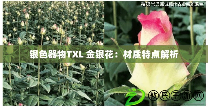 銀色器物TXL 金銀花：材質特點解析