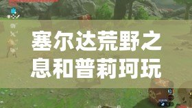 塞爾達荒野之息和普莉珂玩吧（塞爾達荒野之息與普莉珂玩吧：全面對比，帶你探索最佳游戲體驗?。? title=