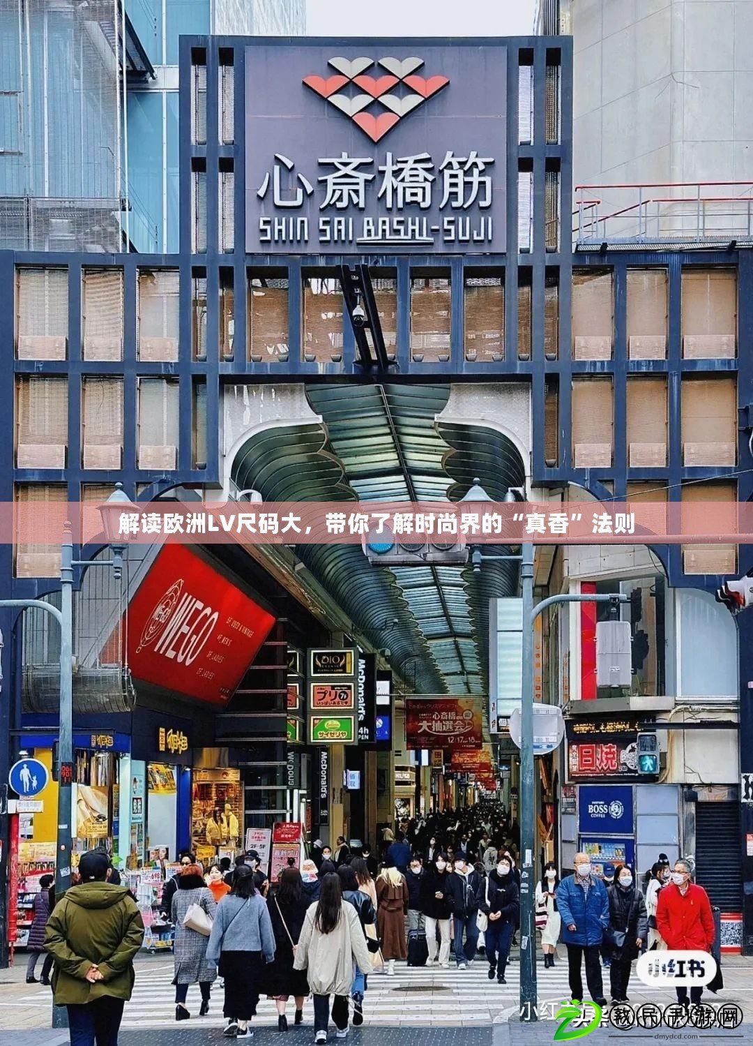 解讀歐洲LV尺碼大，帶你了解時尚界的“真香”法則