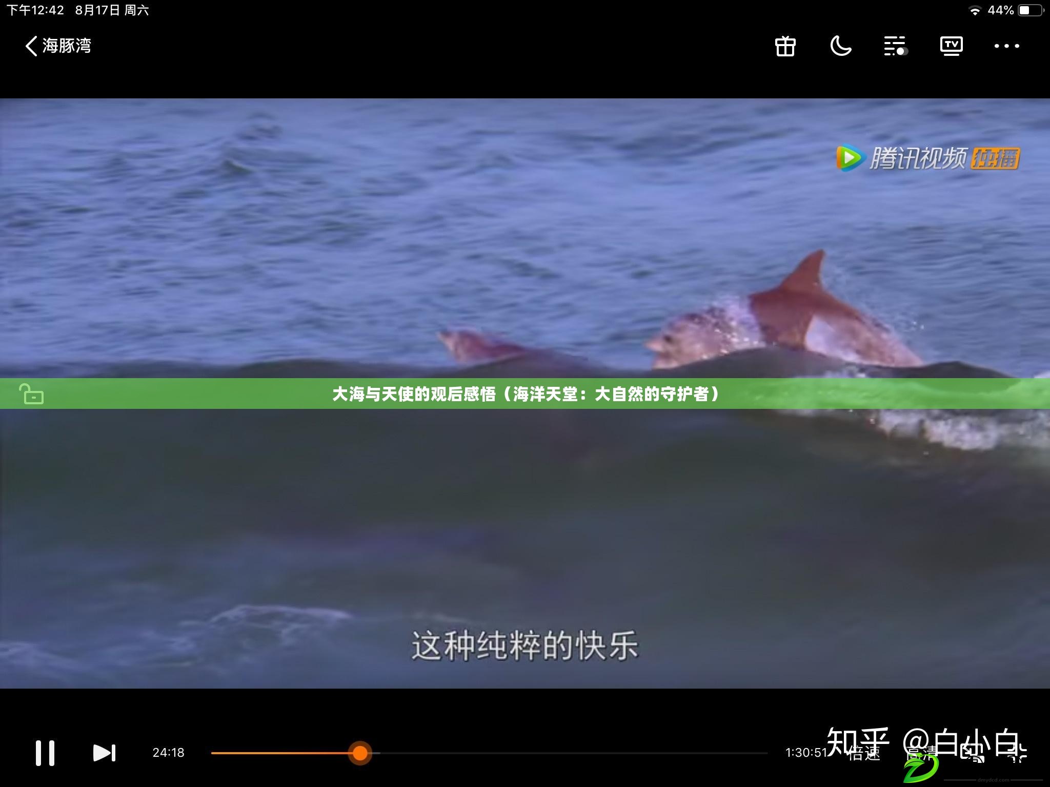 大海與天使的觀后感悟(海洋天堂:大自然的守護者) 大海與天使的觀后感悟(海洋天堂:大自然的守護者)