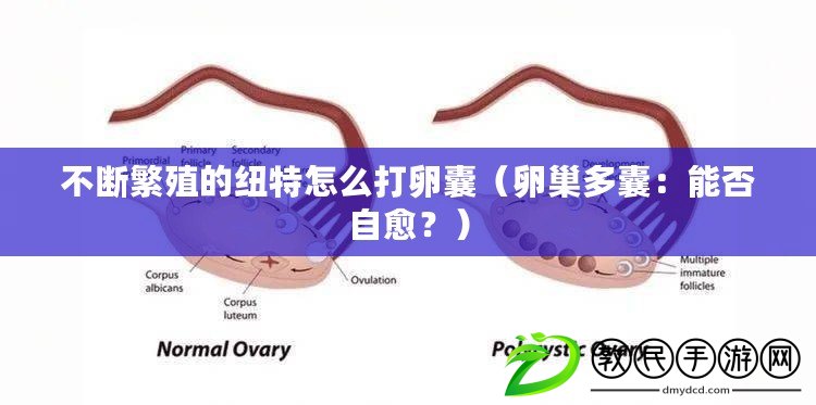 不斷繁殖的紐特怎么打卵囊（卵巢多囊：能否自愈？）