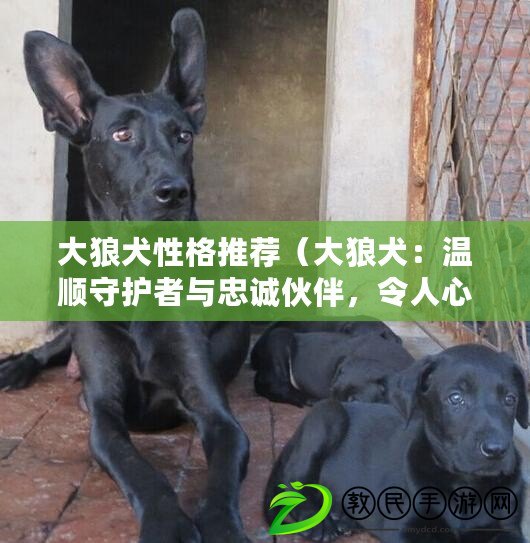 大狼犬性格推薦（大狼犬：溫順守護者與忠誠伙伴，令人心馳神往的巨型犬種?。? title=