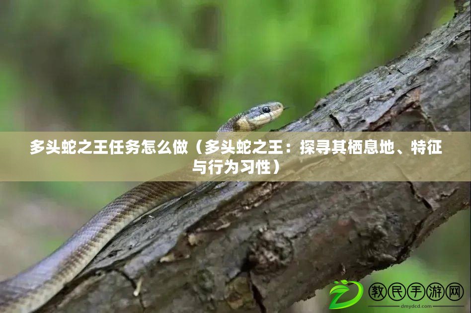 多頭蛇之王任務怎么做（多頭蛇之王：探尋其棲息地、特征與行為習性）