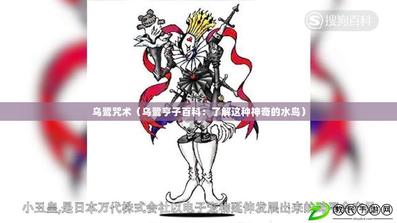 烏鷺咒術（烏鷺亨子百科：了解這種神奇的水鳥）