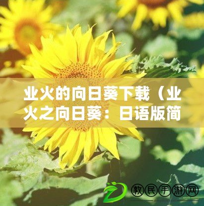 業火的向日葵下載（業火之向日葵：日語版簡體字的奇跡）