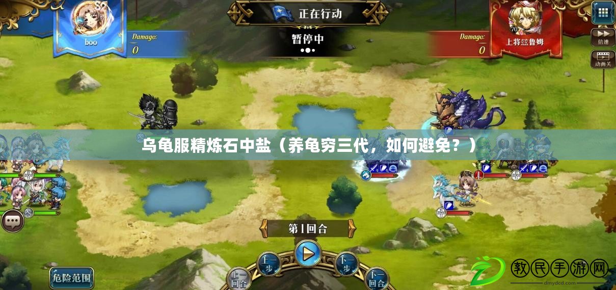 烏龜服精煉石中鹽（養龜窮三代，如何避免？）
