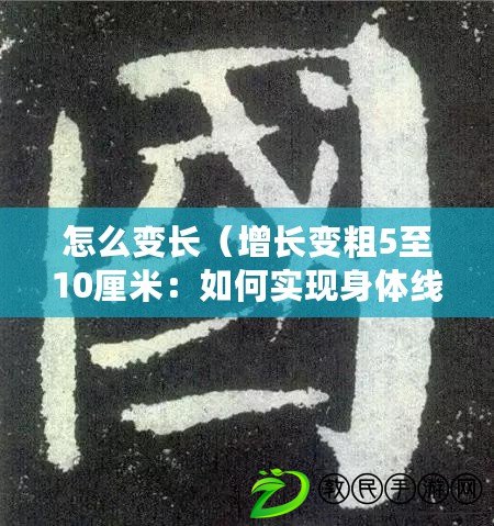 怎么變長（增長變粗5至10厘米：如何實現身體線條的完美塑造？）