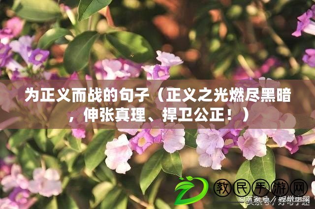 為正義而戰的句子（正義之光燃盡黑暗，伸張真理、捍衛公正?。? title=