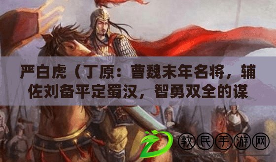 嚴白虎（丁原：曹魏末年名將，輔佐劉備平定蜀漢，智勇雙全的謀略家）