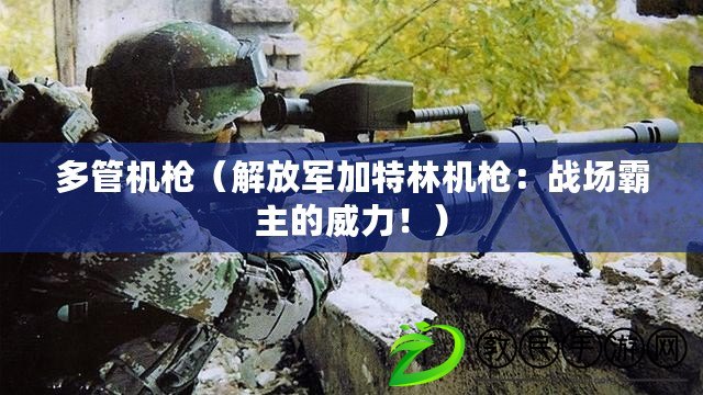 多管機槍（解放軍加特林機槍：戰場霸主的威力?。? title=