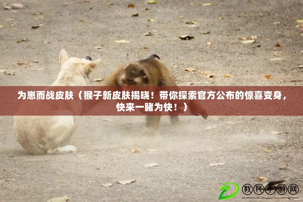 為崽而戰皮膚（猴子新皮膚揭曉！帶你探索官方公布的驚喜變身，快來一睹為快?。? title=