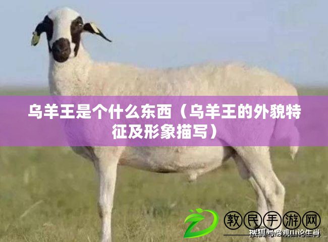 烏羊王是個什么東西(烏羊王的外貌特征及形象描寫) 烏羊王是個什么東西(烏羊王的外貌特征及形象描寫)