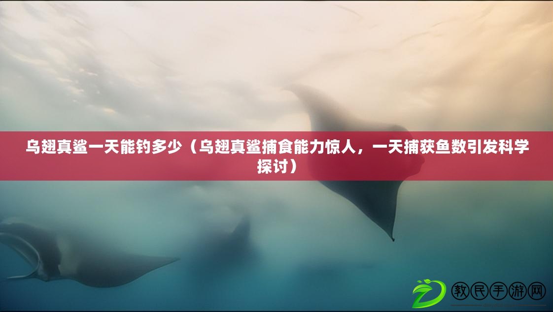 烏翅真鯊一天能釣多少（烏翅真鯊捕食能力驚人，一天捕獲魚數引發科學探討）