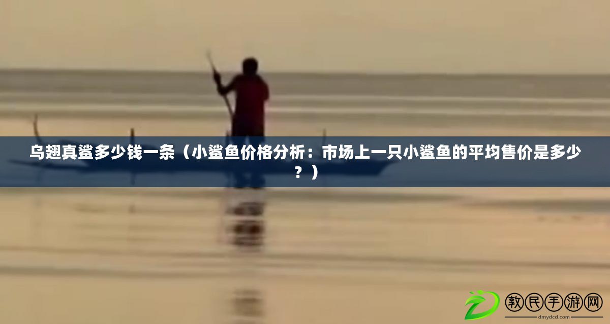 烏翅真鯊多少錢一條（小鯊魚價格分析：市場上一只小鯊魚的平均售價是多少？）