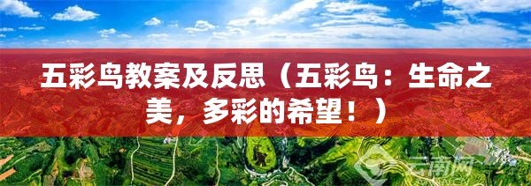 五彩鳥教案及反思（五彩鳥：生命之美，多彩的希望?。? title=