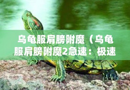 ??星隕計劃深度解析全角色強度天梯榜大揭秘！誰才是宇宙之巔的王者？??