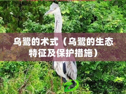 烏鷺的術式（烏鷺的生態特征及保護措施）