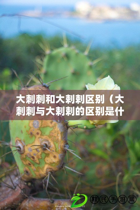大刺刺和大剌剌區別（大刺刺與大剌剌的區別是什么？）
